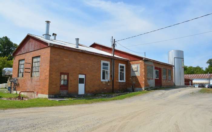 Buy Wholesale Cheese Online | Cheese Curds | Golden Age Cheese